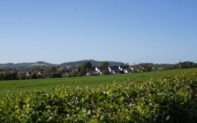 Carer Friendly Poetry Competition